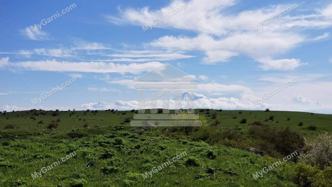 Արարատ լեռ