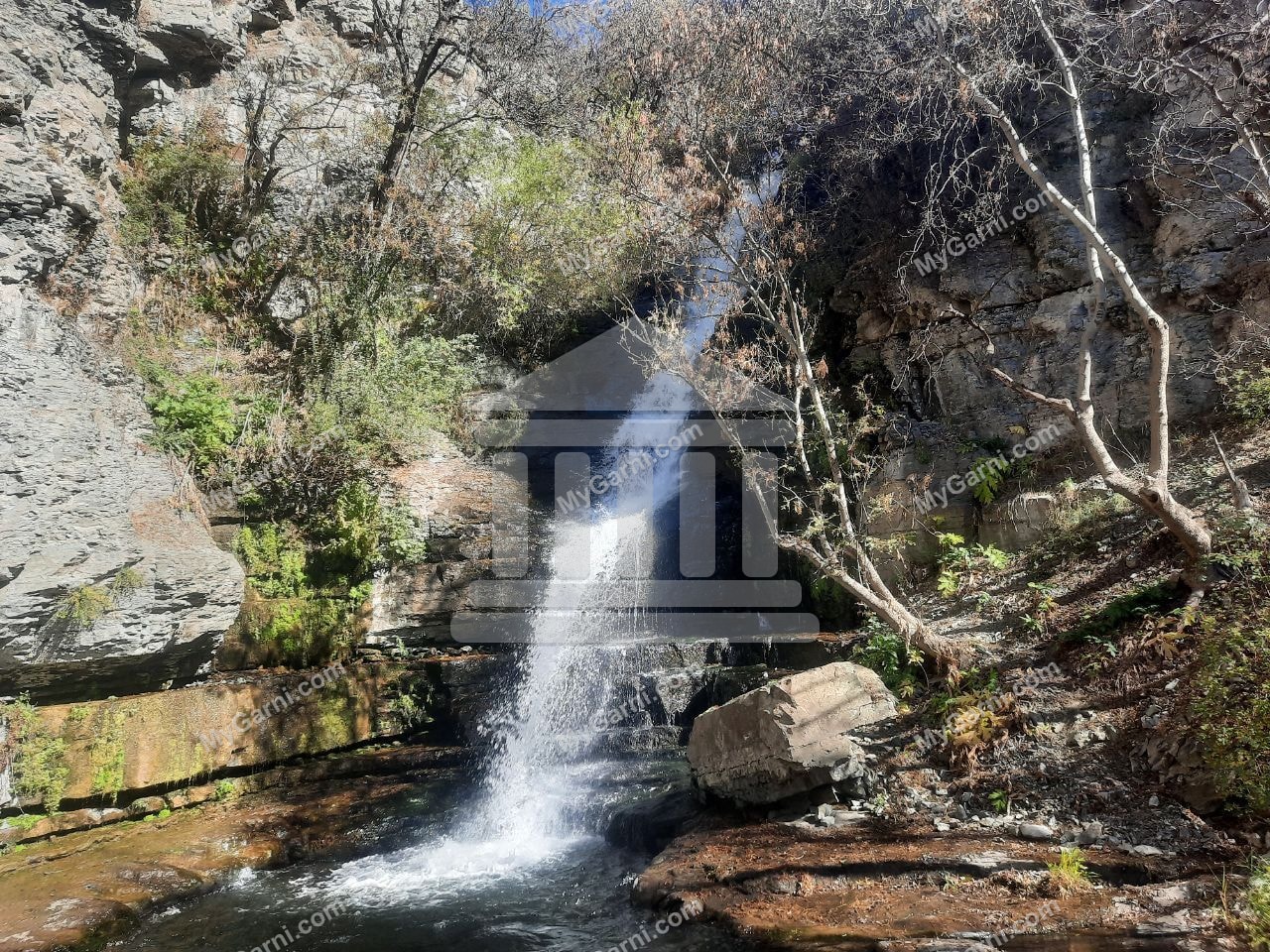 Խոսրովի անտառ