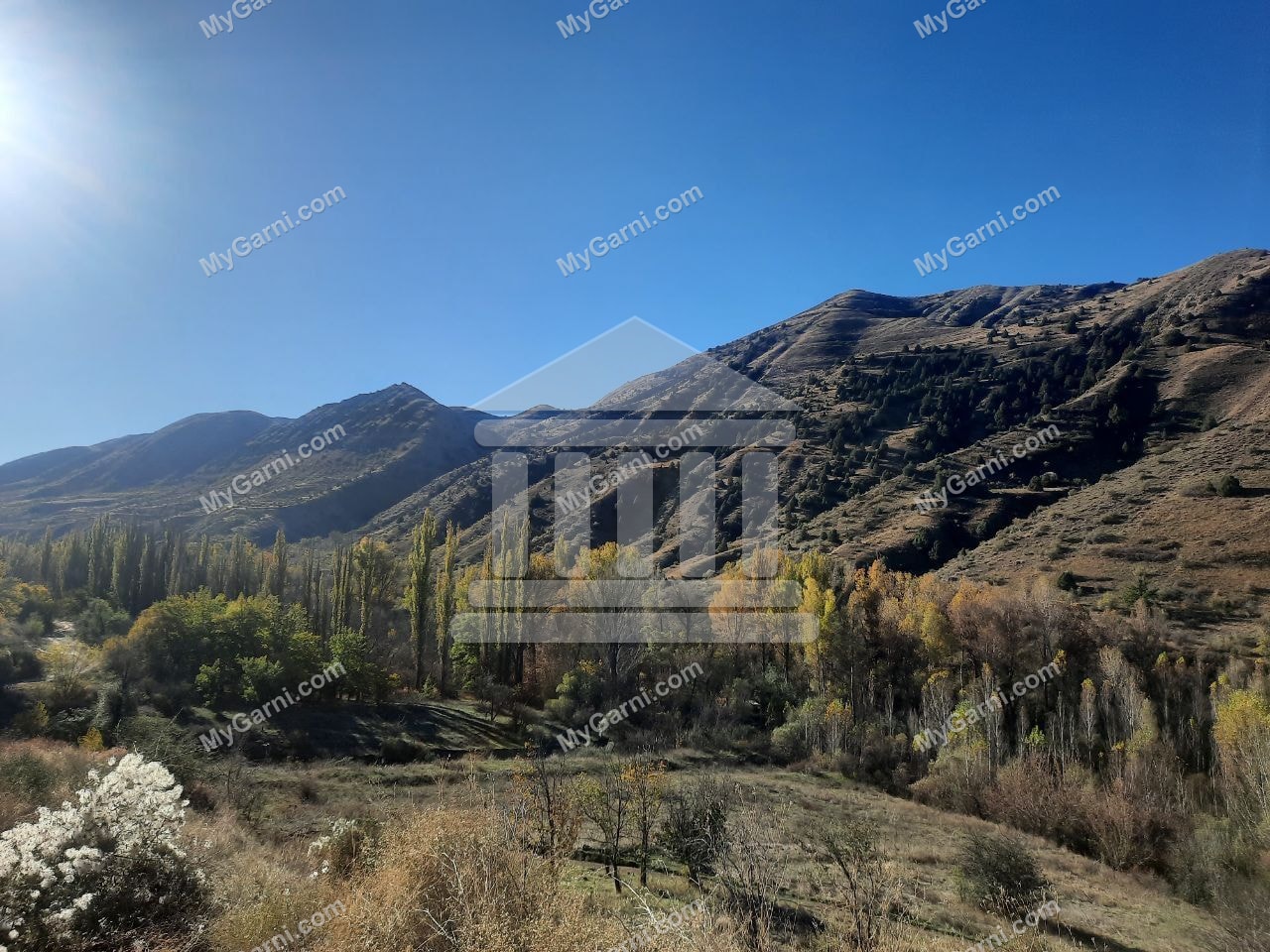 «Խոսրովի անտառ»