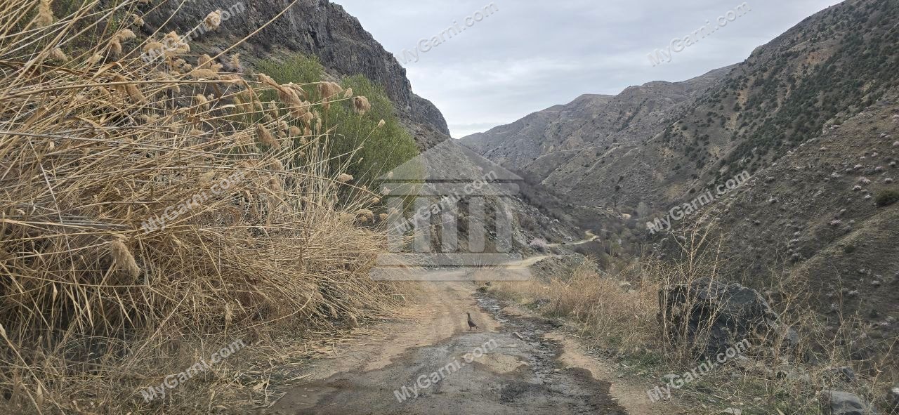 Ազատի կիրճ իջնող ճանապարհ