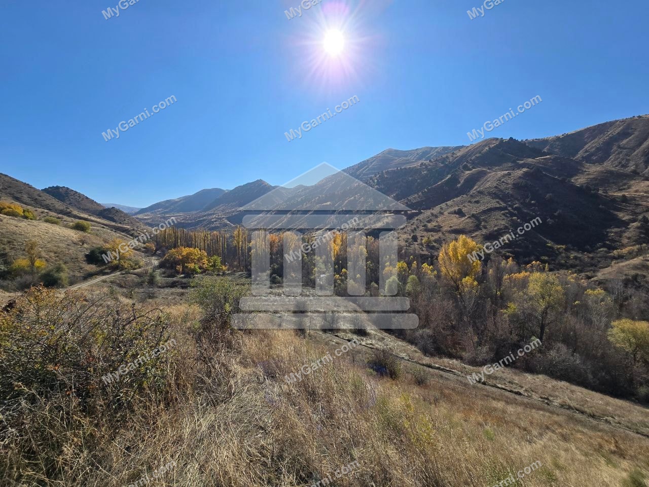 Խոսրովի անտառ