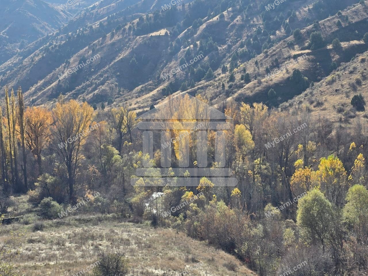 Խոսրովի անտառ
