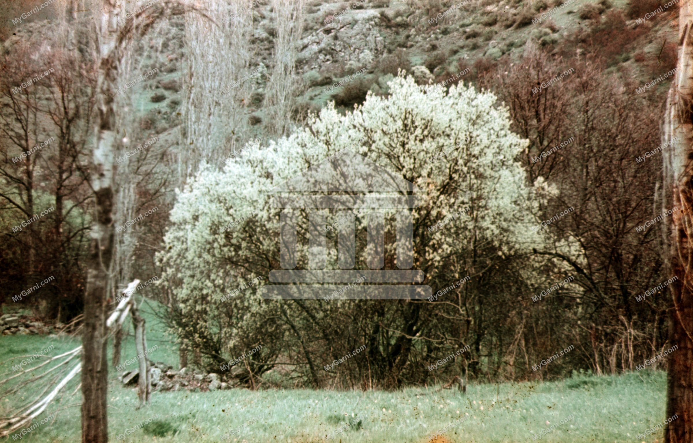 Խոսրովի անտառ 1970 թիվ