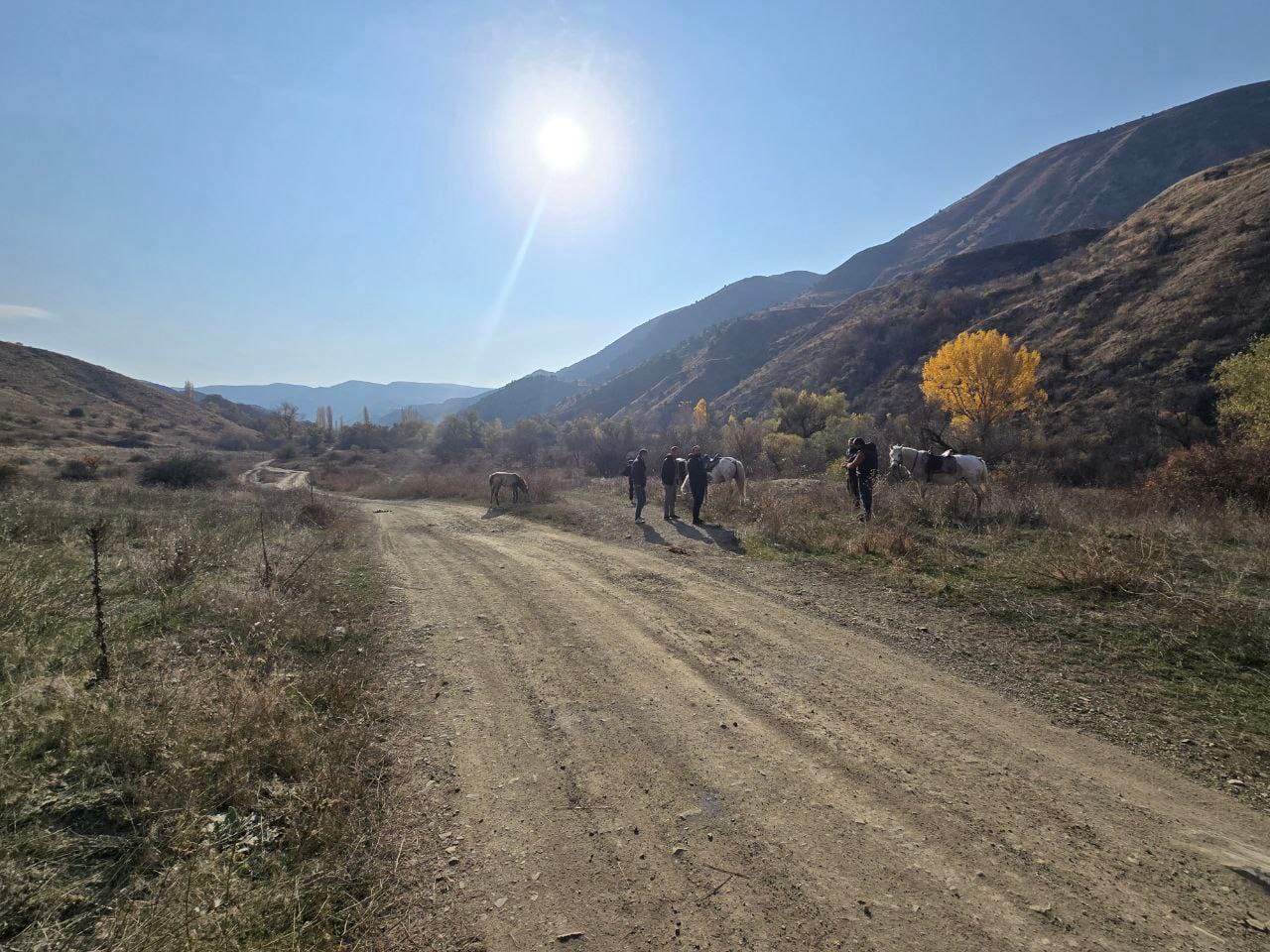 Ձիավարություն Գառնիում
